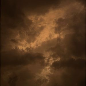 Meet your Posher, Allyson